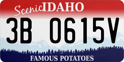 ID license plate 3B0615V