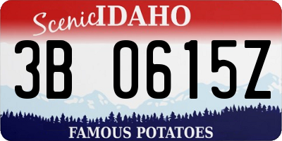 ID license plate 3B0615Z