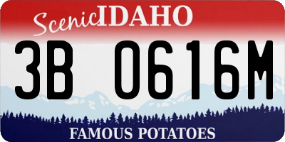 ID license plate 3B0616M