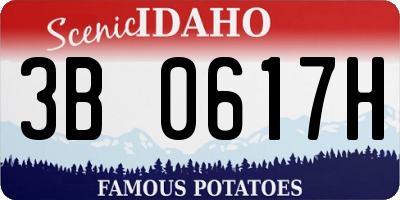 ID license plate 3B0617H