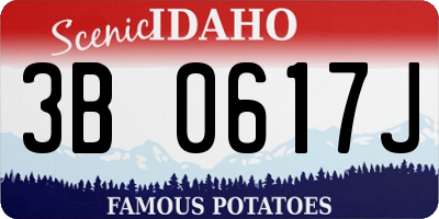 ID license plate 3B0617J