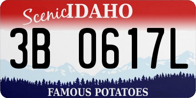 ID license plate 3B0617L