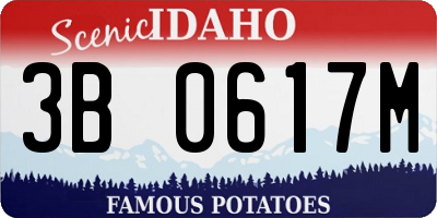 ID license plate 3B0617M