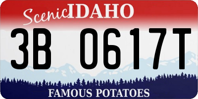 ID license plate 3B0617T