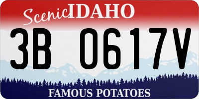 ID license plate 3B0617V