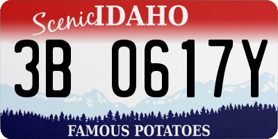 ID license plate 3B0617Y