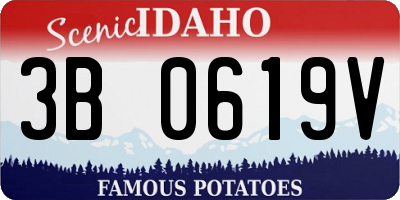 ID license plate 3B0619V