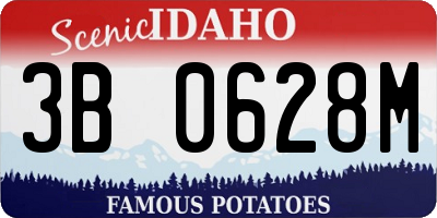 ID license plate 3B0628M