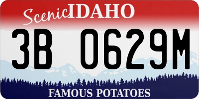 ID license plate 3B0629M