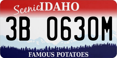 ID license plate 3B0630M