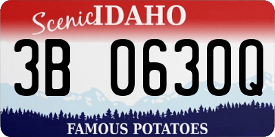 ID license plate 3B0630Q
