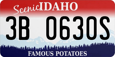 ID license plate 3B0630S