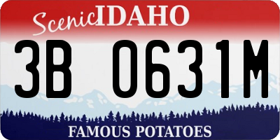 ID license plate 3B0631M