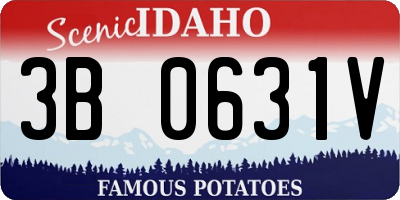 ID license plate 3B0631V
