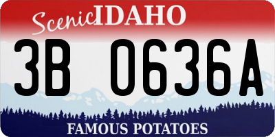 ID license plate 3B0636A