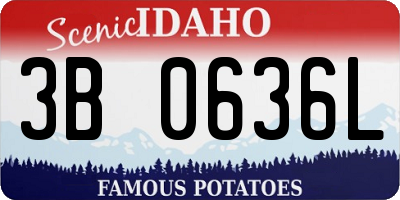 ID license plate 3B0636L