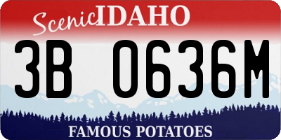 ID license plate 3B0636M