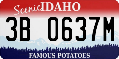 ID license plate 3B0637M