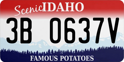ID license plate 3B0637V