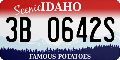 ID license plate 3B0642S
