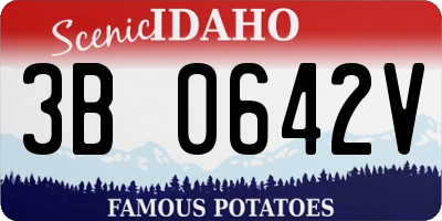 ID license plate 3B0642V