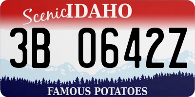 ID license plate 3B0642Z