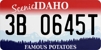 ID license plate 3B0645T