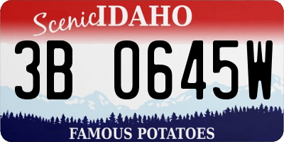 ID license plate 3B0645W