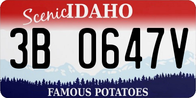 ID license plate 3B0647V