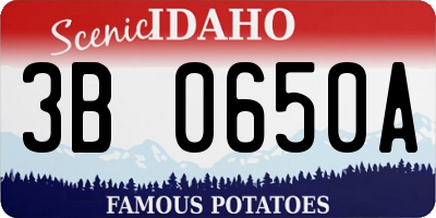 ID license plate 3B0650A