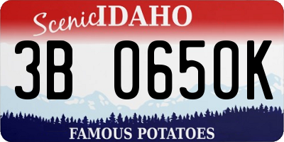 ID license plate 3B0650K