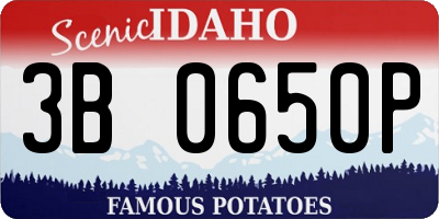 ID license plate 3B0650P