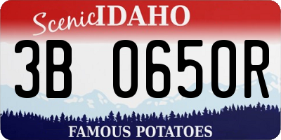 ID license plate 3B0650R