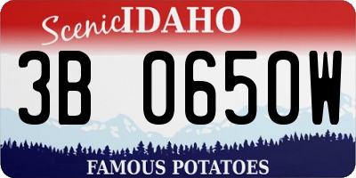 ID license plate 3B0650W