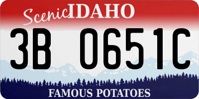 ID license plate 3B0651C