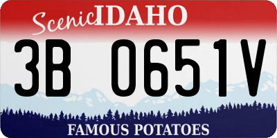 ID license plate 3B0651V