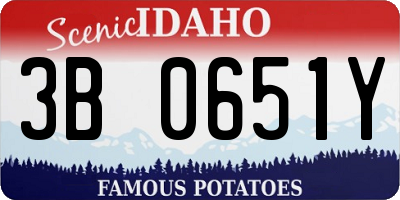 ID license plate 3B0651Y