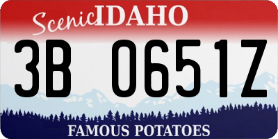 ID license plate 3B0651Z