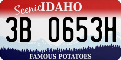 ID license plate 3B0653H