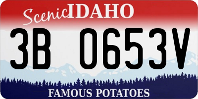 ID license plate 3B0653V