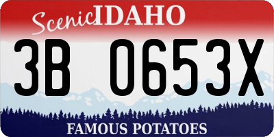ID license plate 3B0653X