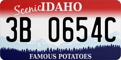 ID license plate 3B0654C