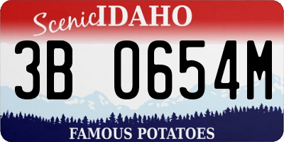 ID license plate 3B0654M