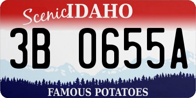 ID license plate 3B0655A