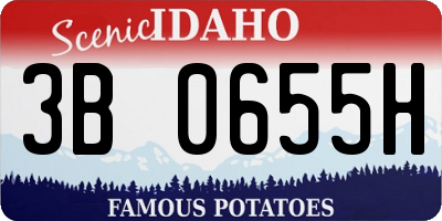 ID license plate 3B0655H