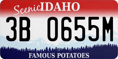 ID license plate 3B0655M