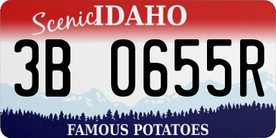 ID license plate 3B0655R