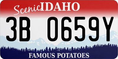 ID license plate 3B0659Y