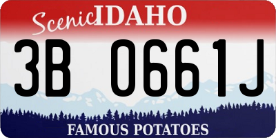 ID license plate 3B0661J