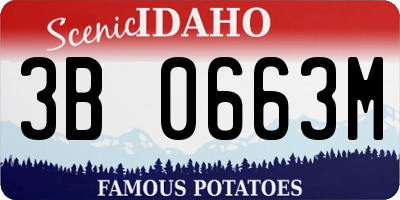 ID license plate 3B0663M